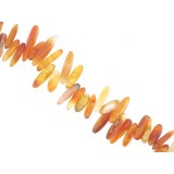 Carnelian - Branches - 20mm Carnelian - Branches - 20mm