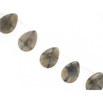 Chiastolite - Drop - 18x25mm