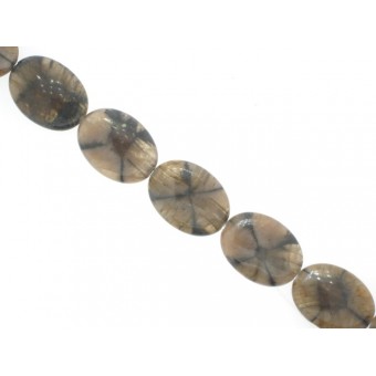 Chiastolite - Oval - 18x26mm